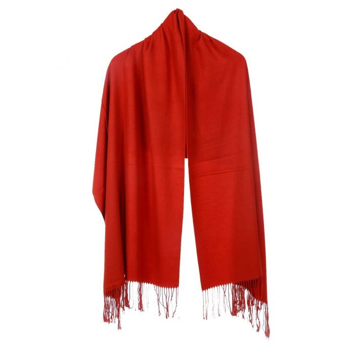Pashmina Scarf with Delicate Tassles