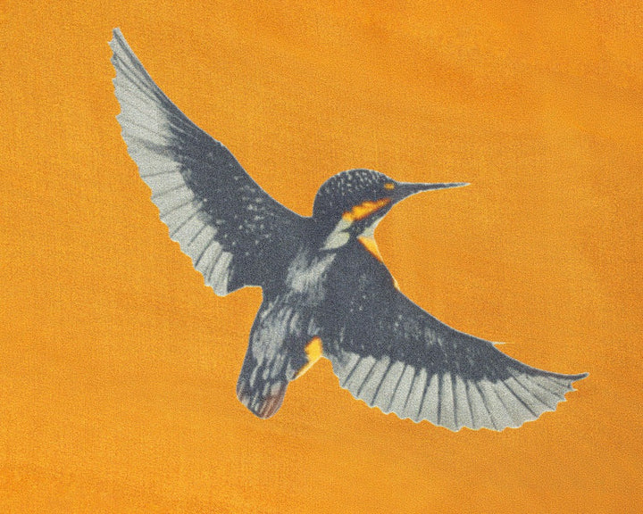 Kingfisher Satin Silk Scarves - Vz Collection