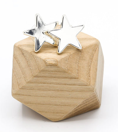 Delicate Star Stud Earrings - Vz Collection
